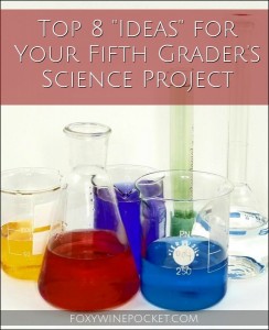 Top 8 “Ideas” for Your Fifth Grader’s Science Project